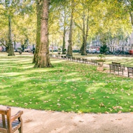 Park with lawn, trees and benches