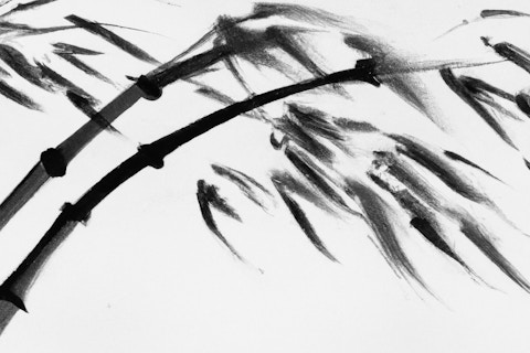DALL E 2023 05 22 16 14 38 japanese brush painting bamboo bending to a strong wind