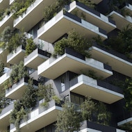 Figure 1: Green in urban façades