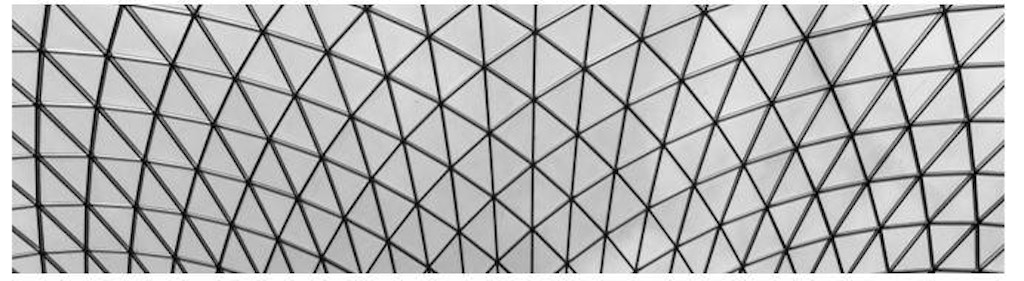 Figure 4: Diagrid skylight canopy at the British Museum in London. This triangulated grid pattern has been found naturally in plants and animals and in the textiles of the early humans.